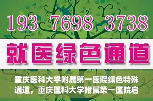 重庆医科大学附属第一医院绿色特殊通道，重庆医科大学附属第一医院启动绿色特殊通道，高效医疗服务的探索与实践