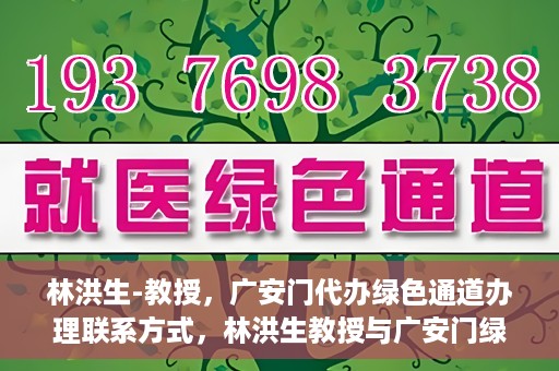 林洪生-教授，广安门代办绿色通道办理联系方式，林洪生教授与广安门绿色通道，联系方式及代办服务解析