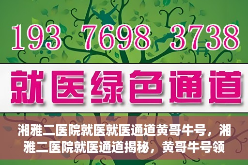 湘雅二医院就医就医通道黄哥牛号，湘雅二医院就医通道揭秘，黄哥牛号领航就医路