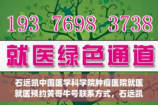 石远凯中国医学科学院肿瘤医院就医就医预约黄哥牛号联系方式，石远凯教授，中国医学科学院肿瘤医院就医预约指南及联系方式揭秘