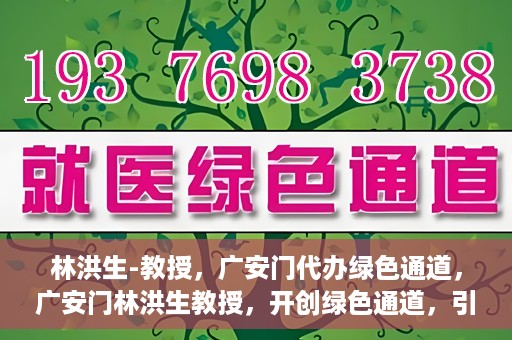 林洪生-教授，广安门代办绿色通道，广安门林洪生教授，开创绿色通道，引领前行之路