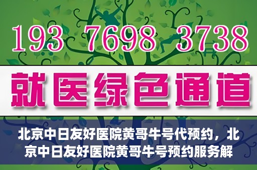 北京中日友好医院黄哥牛号代预约，北京中日友好医院黄哥牛号预约服务解析