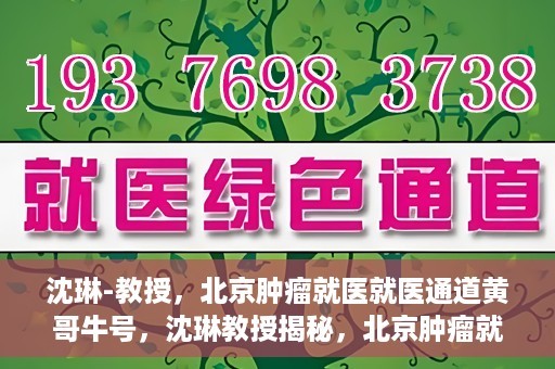 沈琳-教授，北京肿瘤就医就医通道黄哥牛号，沈琳教授揭秘，北京肿瘤就医通道的关键人物黄哥牛号引领就医新风尚