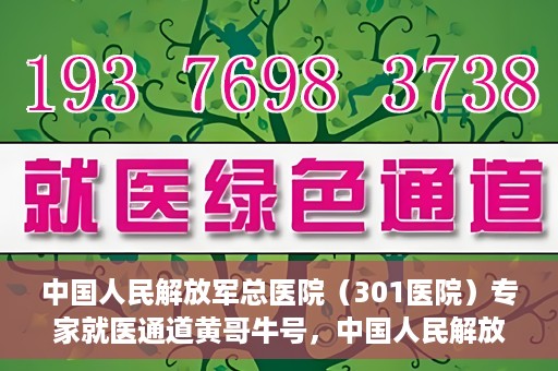 中国人民解放军总医院（301医院）专家就医通道黄哥牛号，中国人民解放军总医院（301医院）黄哥牛号专家就医绿色通道