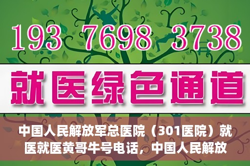 中国人民解放军总医院（301医院）就医就医黄哥牛号电话，中国人民解放军总医院（301医院）黄哥牛号电话就医攻略与指南