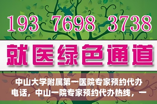 中山大学附属第一医院专家预约代办电话，中山一院专家预约代办热线，一站式解决您的就医预约需求