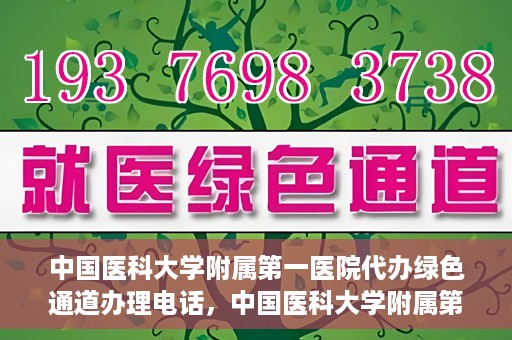 中国医科大学附属第一医院代办绿色通道办理电话，中国医科大学附属第一医院绿色通道办理电话及代办服务详解