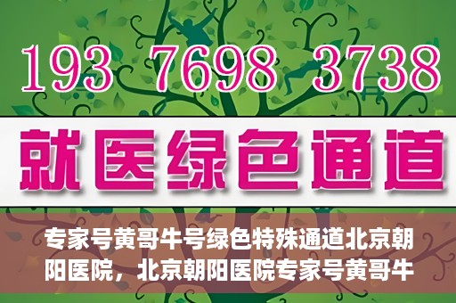 专家号黄哥牛号绿色特殊通道北京朝阳医院，北京朝阳医院专家号黄哥牛号开启绿色特殊通道，助力患者高效就医
