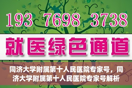 同济大学附属第十人民医院专家号，同济大学附属第十人民医院专家号解析，权威医疗团队的专业解读与诊疗服务