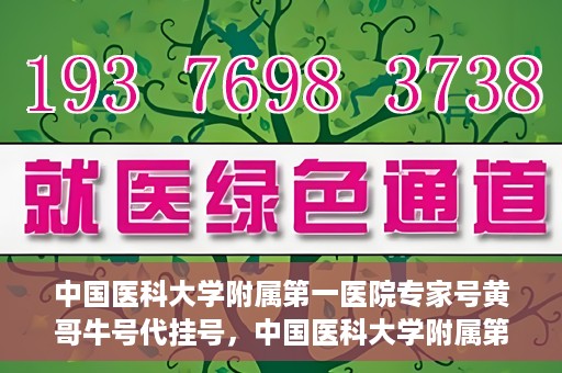 中国医科大学附属第一医院专家号黄哥牛号代挂号，中国医科大学附属第一医院专家号代挂号揭秘，黄哥牛号背后的故事