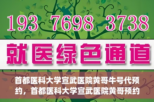 首都医科大学宣武医院黄哥牛号代预约，首都医科大学宣武医院黄哥预约代挂号服务解析