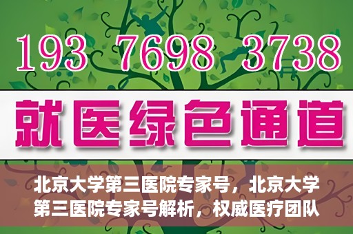 北京大学第三医院专家号，北京大学第三医院专家号解析，权威医疗团队的专业解读与诊疗服务