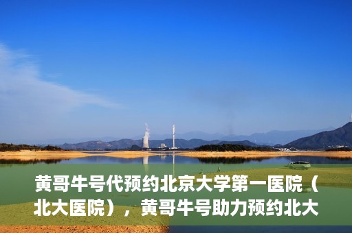 黄哥牛号代预约北京大学第一医院（北大医院），黄哥牛号助力预约北大医院——北京大学第一医院权威预约服务开启