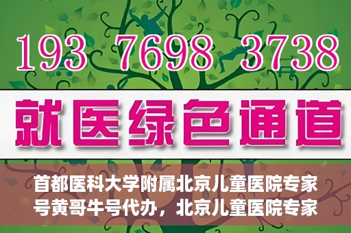 首都医科大学附属北京儿童医院专家号黄哥牛号代办，北京儿童医院专家黄哥牛号代办攻略，专业解读与预约指南