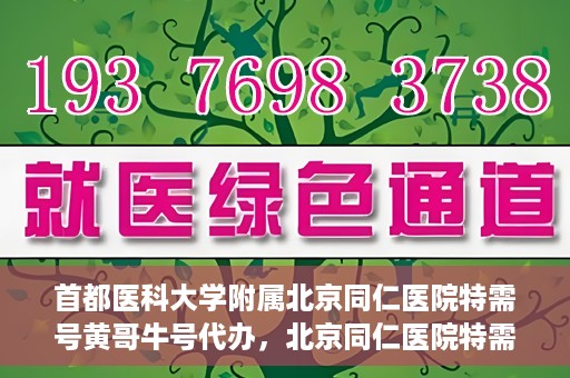 首都医科大学附属北京同仁医院特需号黄哥牛号代办，北京同仁医院特需号黄哥牛号代办，深度解析医疗服务的特殊渠道