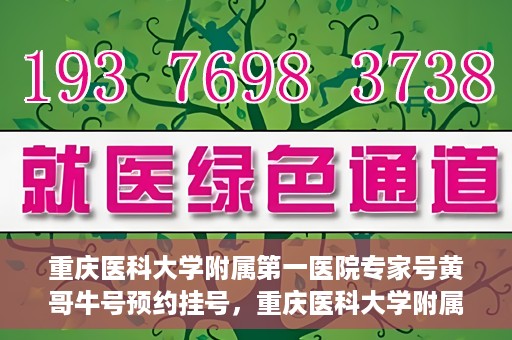 重庆医科大学附属第一医院专家号黄哥牛号预约挂号，重庆医科大学附属第一医院专家黄哥牛号——预约挂号攻略