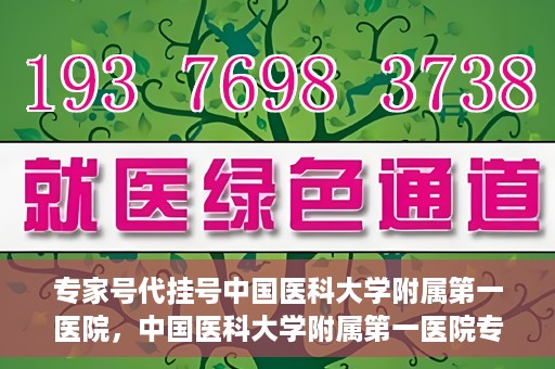 专家号代挂号中国医科大学附属第一医院，中国医科大学附属第一医院专家号代挂号服务解析