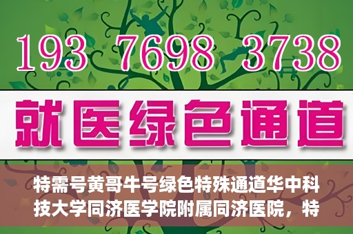 特需号黄哥牛号绿色特殊通道华中科技大学同济医学院附属同济医院，特需号黄哥牛号背后的绿色特殊通道，华中科技大学同济医学院附属同济医院的探索与实践