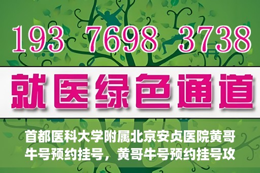 首都医科大学附属北京安贞医院黄哥牛号预约挂号，黄哥牛号预约挂号攻略，首都医科大学附属北京安贞医院就医指南
