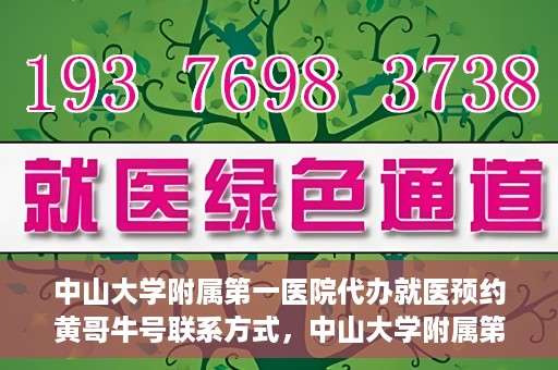 中山大学附属第一医院代办就医预约黄哥牛号联系方式，中山大学附属第一医院预约就医预约联系方式揭秘，黄哥牛号助您轻松挂号就医