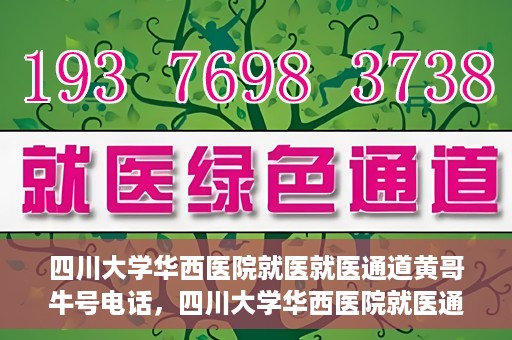 四川大学华西医院就医就医通道黄哥牛号电话，四川大学华西医院就医通道解析，黄哥牛号电话背后的就医便利之道