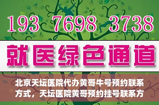 北京天坛医院代办黄哥牛号预约联系方式，天坛医院黄哥预约挂号联系方式揭秘，便捷就医新途径探索