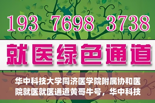 华中科技大学同济医学院附属协和医院就医就医通道黄哥牛号，华中科技大学同济医学院附属协和医院就医通道详解，黄哥牛号引领就医新体验