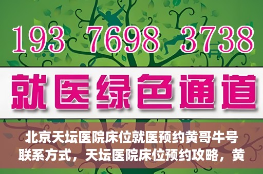 北京天坛医院床位就医预约黄哥牛号联系方式，天坛医院床位预约攻略，黄哥牛号联系方式揭秘