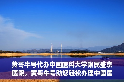 黄哥牛号代办中国医科大学附属盛京医院，黄哥牛号助您轻松办理中国医科大学附属盛京医院手续！