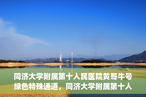 同济大学附属第十人民医院黄哥牛号绿色特殊通道，同济大学附属第十人民医院黄哥牛号，绿色特殊通道开启健康之门