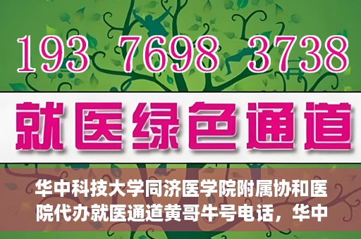 华中科技大学同济医学院附属协和医院代办就医通道黄哥牛号电话，华中科技大学同济医学院附属协和医院代办就医通道揭秘，黄哥牛号联系电话曝光