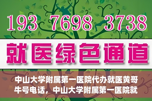 中山大学附属第一医院代办就医黄哥牛号电话，中山大学附属第一医院就医黄哥牛号电话代办服务详解