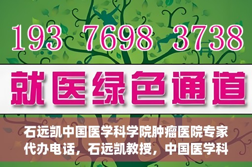 石远凯中国医学科学院肿瘤医院专家代办电话，石远凯教授，中国医学科学院肿瘤医院专家预约挂号及咨询热线