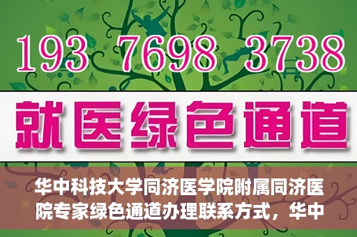 华中科技大学同济医学院附属同济医院专家绿色通道办理联系方式，华中科技大学同济医院专家绿色通道联系指南，快速办理秘籍与联系方式揭秘