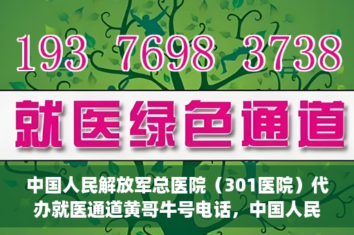 中国人民解放军总医院（301医院）代办就医通道黄哥牛号电话，中国人民解放军总医院就医通道代办服务，黄哥牛号联系电话解析