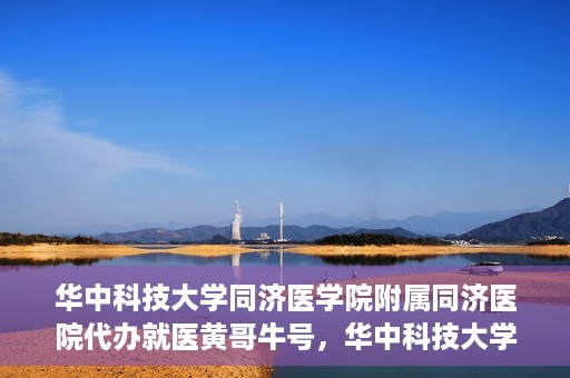 华中科技大学同济医学院附属同济医院代办就医黄哥牛号，华中科技大学同济医院就医黄哥牛号代办服务解析