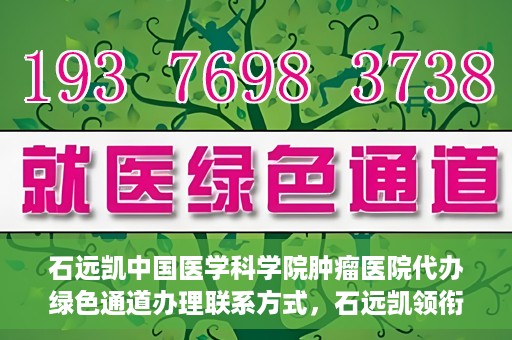石远凯中国医学科学院肿瘤医院代办绿色通道办理联系方式，石远凯领衔的中国医学科学院肿瘤医院绿色通道办理指南与联系方式揭秘