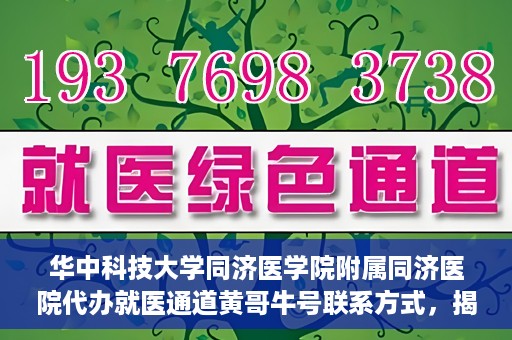 华中科技大学同济医学院附属同济医院代办就医通道黄哥牛号联系方式，揭秘黄哥牛号，同济医院就医通道代办联系方式与操作指南