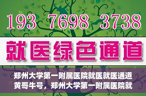 郑州大学第一附属医院就医就医通道黄哥牛号，郑州大学第一附属医院就医通道解析，黄哥牛号的实践之路