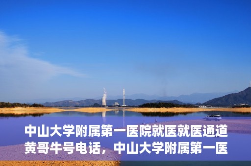 中山大学附属第一医院就医就医通道黄哥牛号电话，中山大学附属第一医院就医通道揭秘，黄哥牛号电话一键预约就医服务