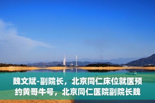 魏文斌-副院长，北京同仁床位就医预约黄哥牛号，北京同仁医院副院长魏文斌揭秘床位预约秘籍——黄哥牛号引领就医新风尚