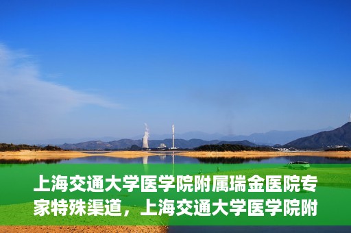 上海交通大学医学院附属瑞金医院专家特殊渠道，上海交通大学医学院附属瑞金医院专家特殊渠道解析，专业力量与特殊资源的融合之道