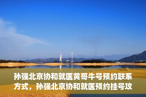 孙强北京协和就医黄哥牛号预约联系方式，孙强北京协和就医预约挂号攻略，黄哥牛号联系方式揭秘