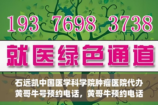 石远凯中国医学科学院肿瘤医院代办黄哥牛号预约电话，黄哥牛预约电话助您轻松预约石远凯教授——中国医学科学院肿瘤医院就医服务