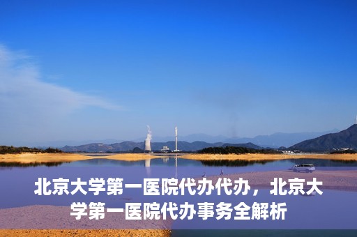北京大学第一医院代办代办，北京大学第一医院代办事务全解析