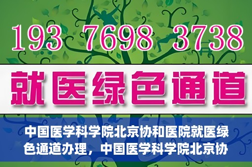 中国医学科学院北京协和医院就医绿色通道办理，中国医学科学院北京协和医院就医绿色通道办理详解与体验指南