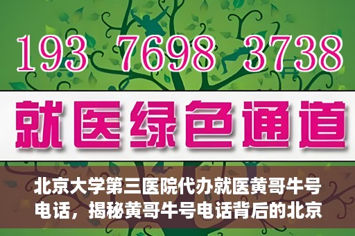 北京大学第三医院代办就医黄哥牛号电话，揭秘黄哥牛号电话背后的北京大学第三医院代办就医真相