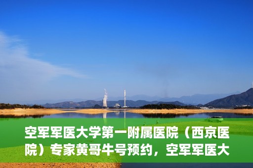 空军军医大学第一附属医院（西京医院）专家黄哥牛号预约，空军军医大学第一附属医院黄哥专家号预约攻略，一站式解决您的健康需求