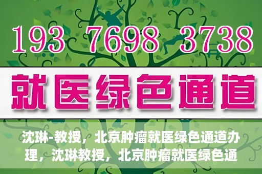 沈琳-教授，北京肿瘤就医绿色通道办理，沈琳教授，北京肿瘤就医绿色通道详解及办理指南