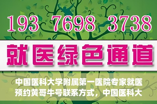 中国医科大学附属第一医院专家就医预约黄哥牛号联系方式，中国医科大学附属第一医院专家就医预约联系方式揭秘，黄哥牛号助您轻松挂号就医